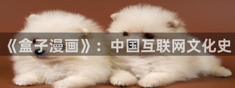 jmcomic天堂漫画app：《盒子漫画》：中国互联网文化史