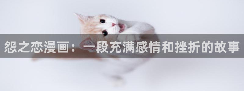 新天堂漫画：怨之恋漫画：一段充满感情和挫折的故事